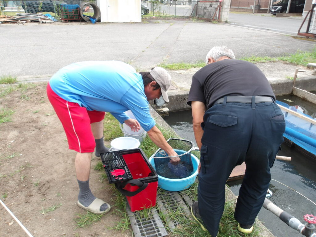 🎣アユ　湯川釣果情報　環境調査