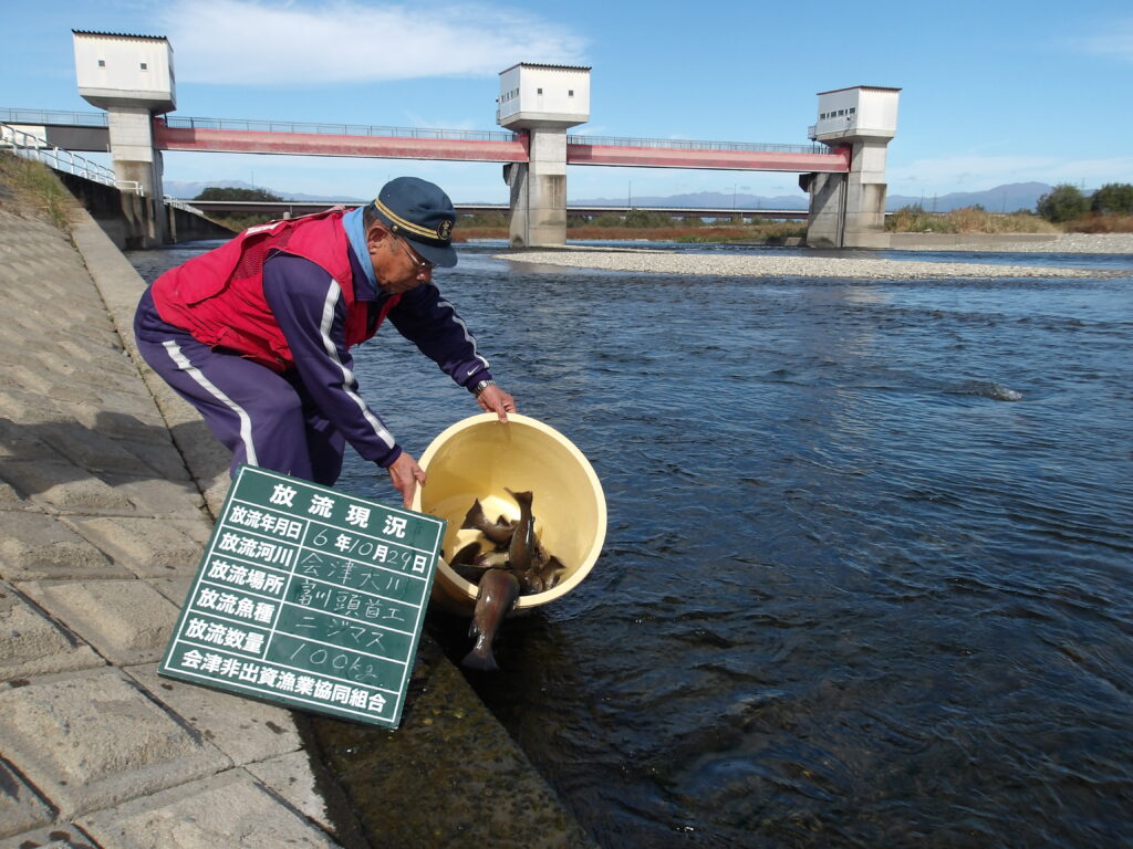 🎣ニジマス放流しました